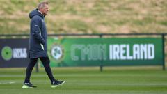 Republic of Ireland boss Heimir Hallgrímsson